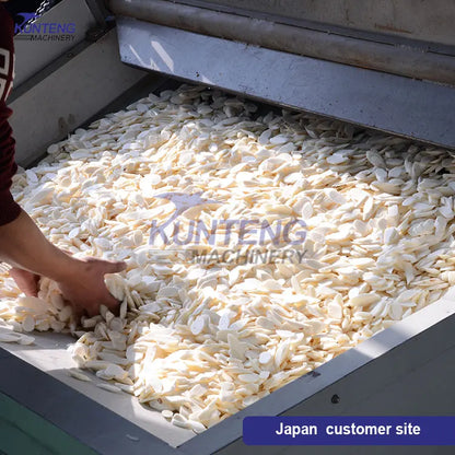 Full vegetable and fruit cassava sweet potato banana dates orange cleaning slicing and drying machine equipment processing line