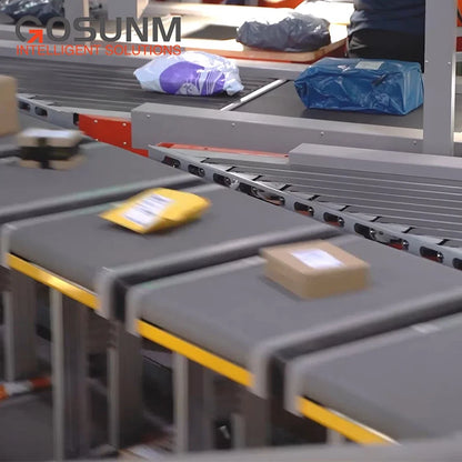 Factory Manufacturing Intelligent Express Parcel Sorting and Conveying System Professional DWS Circulation Sorting Line