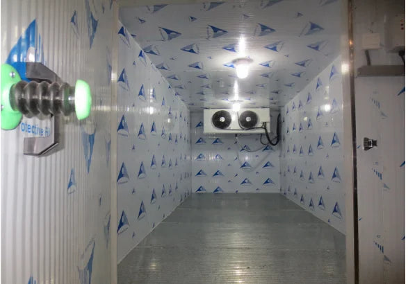 40 Feet Container Cold Storage 5 Hp Condensing Unit Refrigerated Containers Freezer Cold Storage Room