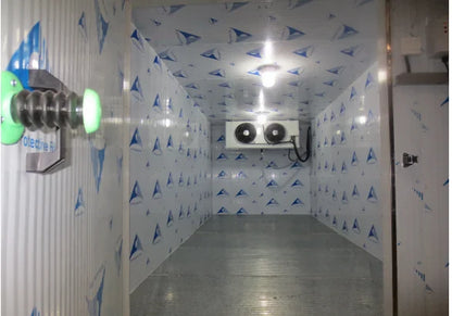 40 Feet Container Cold Storage 5 Hp Condensing Unit Refrigerated Containers Freezer Cold Storage Room