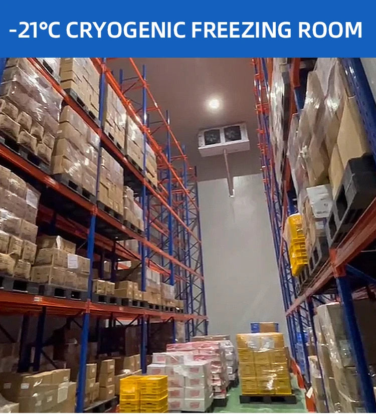 Arkref Industrial Quick Freezing Medium Large Butcher Butchery Equipment Slaughterhouse Cold Room Storage Refrigerator