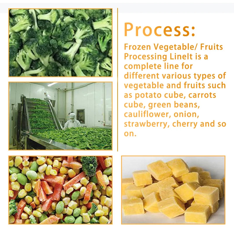 TCA automatic lettuce and vegetable washing and cutting production line machine for carrots  mushrooms
