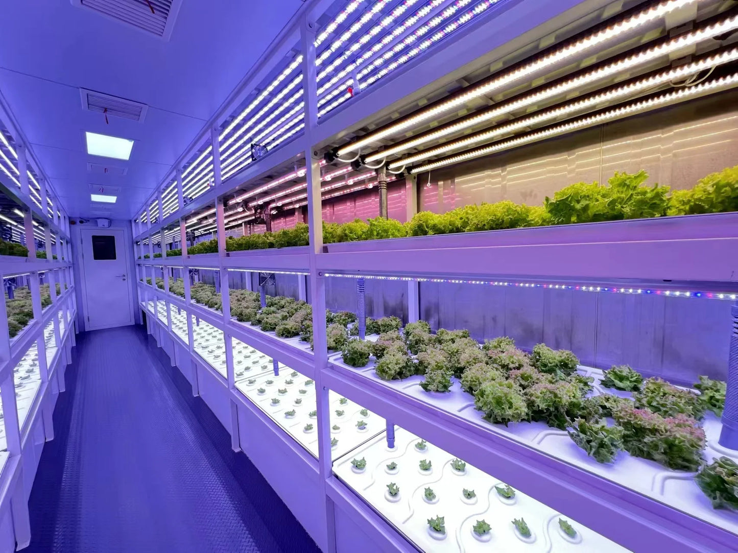 Customizable Grow Container Intelligent Vertical Farm Agricultural Equipment for Indoor Medical Plants Cultivation