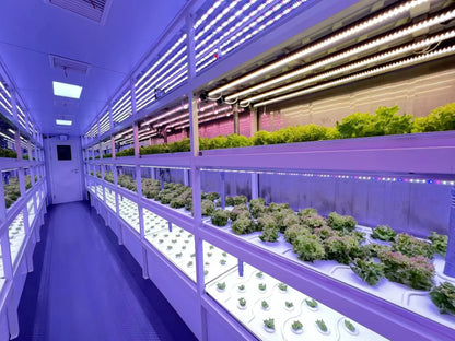 Customizable Grow Container Intelligent Vertical Farm Agricultural Equipment for Indoor Medical Plants Cultivation