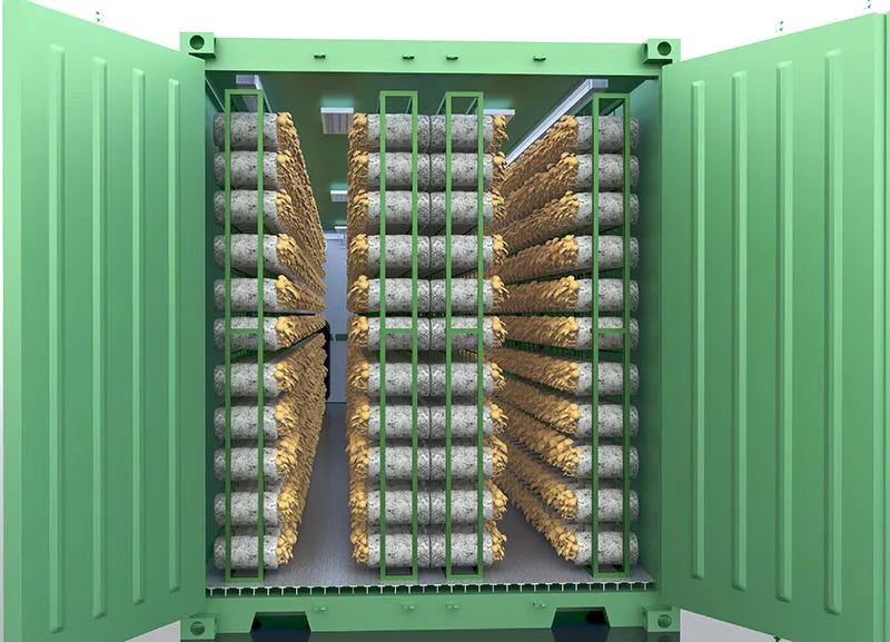 Mushroom Container Growing Equipment Farming Shipping Container Farm Vertical Hydroponics System