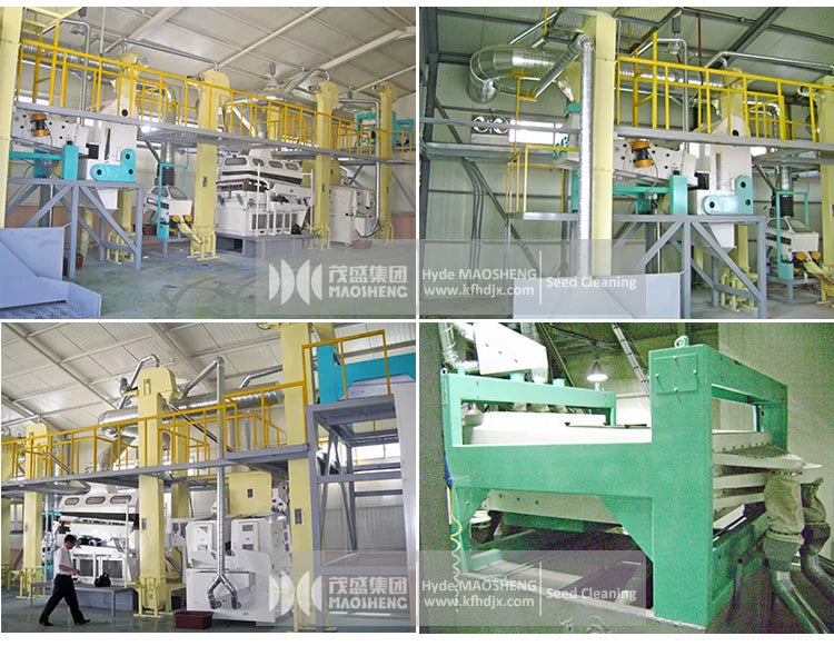 5ZT Hungry rice Chickpea Corn Millet Sorghum seed Fonio cleaning milling machines lines for sale