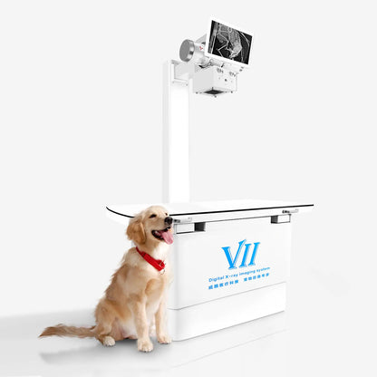 DR Use Hospital X Ray Machine For Accurate Medical Imaging