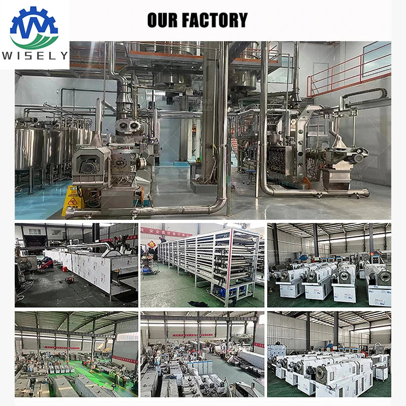 Fully Automatic Dog Food Pellet Extruders Feed Processing Machine Cat Dog Fish Food Pellet Making Machine