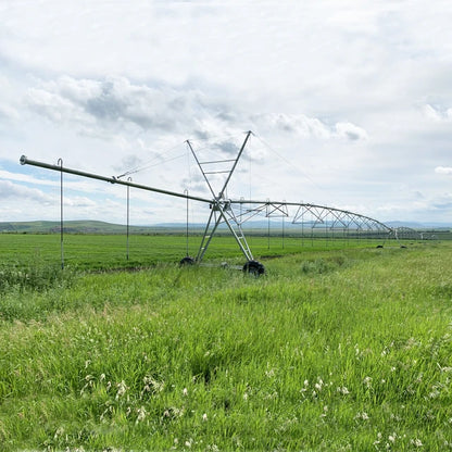 Large Scale Farm Linear Pivot Irrigator System Lateral Move Pivot Irrigation Equipment