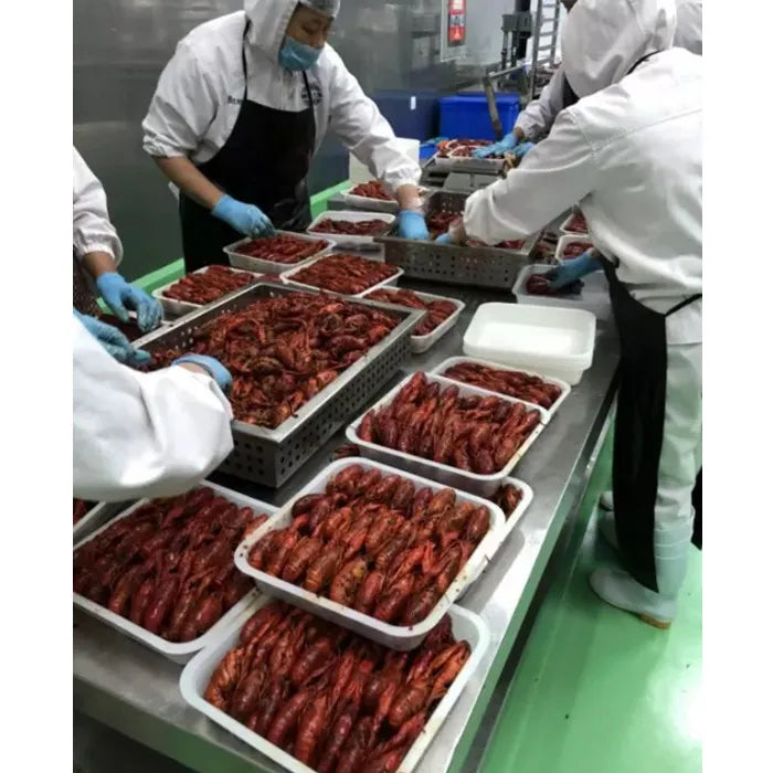 Automatic Iqf Quick Tunnel Freezer Price Blast Freezer Machine Liquid Nitrogen Blast Freezer For Meat And Fruit