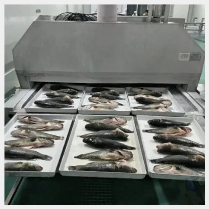 Automatic Iqf Quick Tunnel Freezer Price Blast Freezer Machine Liquid Nitrogen Blast Freezer For Meat And Fruit